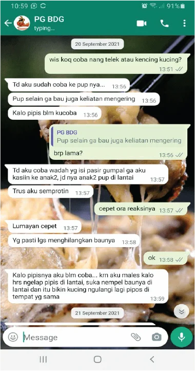 testi-2-min.png.webp